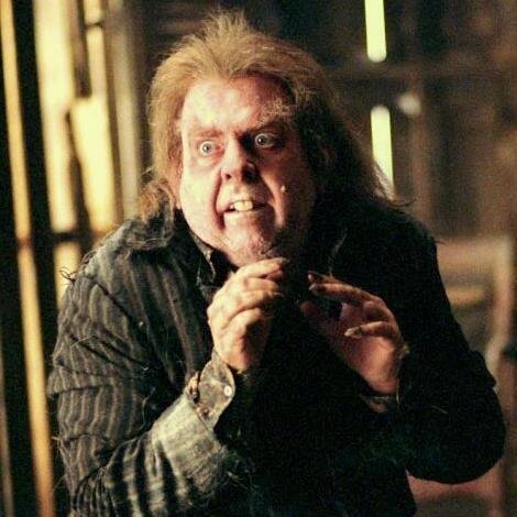 Pettigrewttys's profile picture. Mortífago. Yo traicioné a Lily y a James Potter. Siempre fiel al señor tenebroso.  Más conocido como Colagusano. {#Pottertty}(Twitter personal @Pirlo_2408 )