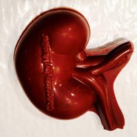 R Lafayette (@kidneybiz) 's Twitter Profile