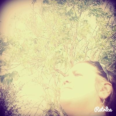 alecarca's profile picture. 