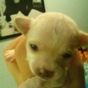 Adolph James - @cooperadolph - Twitter