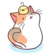 ゆりなです。ねこ犬のツイート中心につぶやきます★相互フォローも大募集中なので宜しくお願いします♪