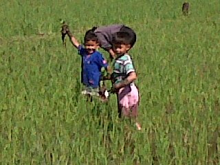 zatagil's profile picture. Mencintai dan berbuat kebaikan atas alam raya dan seisinya