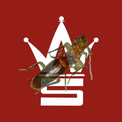 Roach_Nigga_Jr's profile picture. roach niggas winning. follow me, my brother @roach_nigga and uncle @famous1sayings. download my new mixtape #YRN #YoungRoachNigga