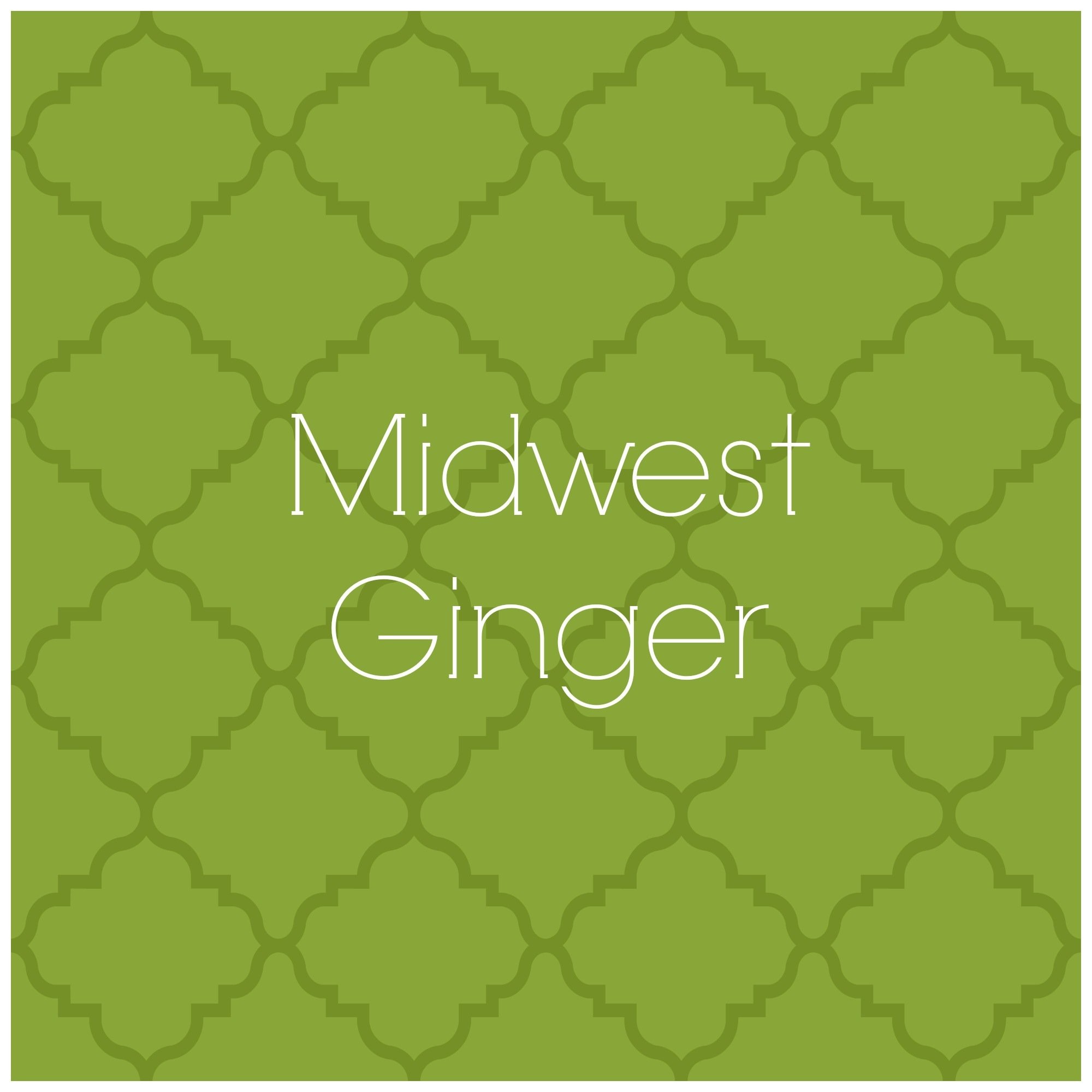 A variety of unique accessories and fun pieces for your home! Custom requests welcome :) Instagram: @ShopMidwestGinger