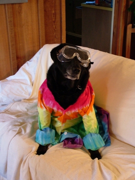 onlinescience's profile picture. We love to bring out the scientist in every person!