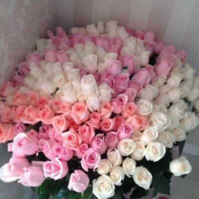 لا اله الا الله وحده لا شريك له، له الملك وله الحمد وهو علئ كل شي قدير .. New account .. The old @Nawal004