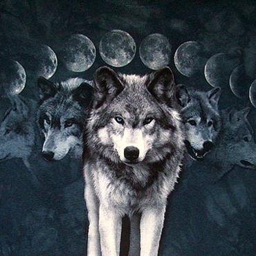 Coven, descendants of Bavarian wolfssegen, pagan community, wild witchcraft, paranormal investigators, lycanthrope folklore enthusiasts