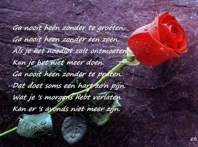 17'10'1957 - 01'09'2003 !★    '17'09'2007♥ 'ikhouvnmijnlieveneefjesennichtje!♥   ilovevoetbal'lycurgusdames3!♥