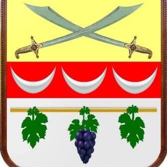 Чугуевский городской совет
