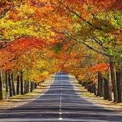 wilsonmia52's profile picture. 