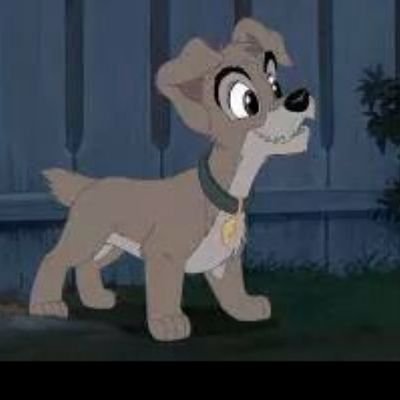 Hi I'm scamp I wanna be wild and free like a real dog #singel