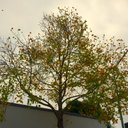 Sal Jenco - @saljenco - Twitter