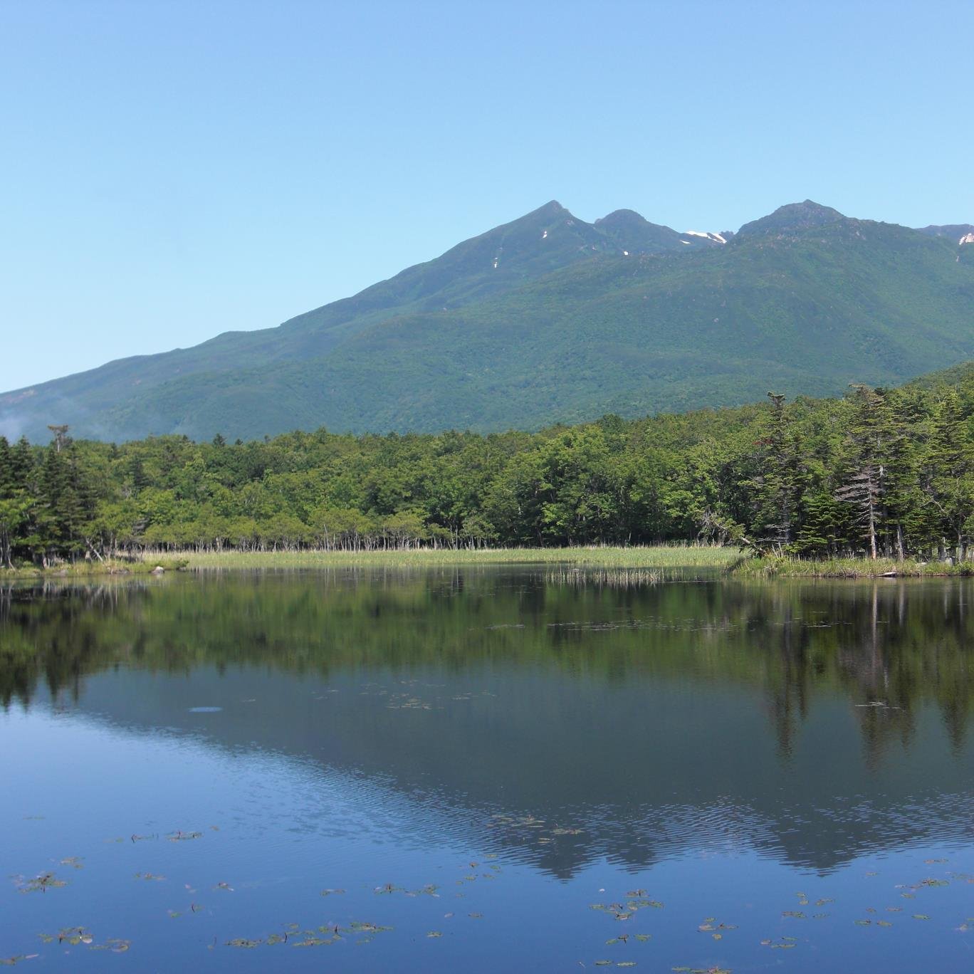 兵庫県在住、趣味はライブに行く事、グルメ、国内旅行です。