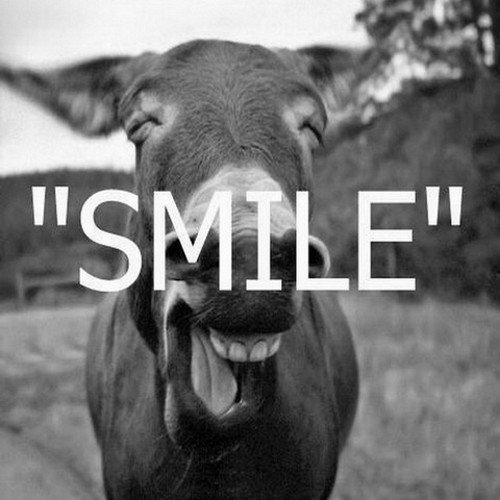 I'm gonna live like tomorrow doesn't exist...