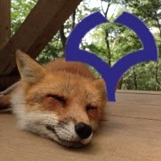 大学非公認です。阪大生もそうでない方もキツネが好きやったら基本的に誰でもうぇるかむです。一緒にキツネの魅力を共有しましょ。/フォロバ希望の方は仰って下さい。/OSAKA UNIVERSITY FOX LOVERS' ASSOCIATION/English, Français, Svenska, Suomen kieli