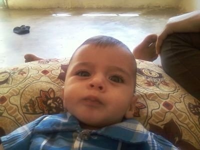 amermrazeeg's profile picture. 