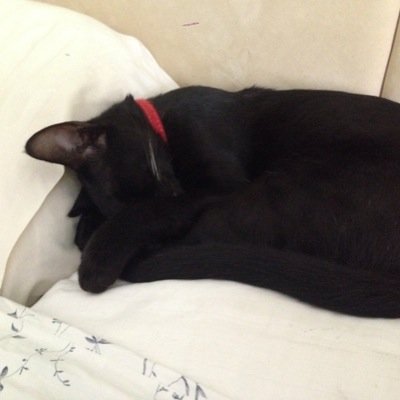 cblackler's profile picture. 