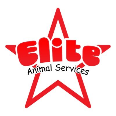 Dog grooming| Dog walking| Pet sitting & Pet taxi services| Wittering, Stamford & surrounding villages| Check out our website for more info.