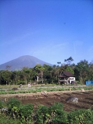 cinta sejati