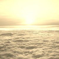 🇺🇲🌎 (@p_codetwit) 's Twitter Profile Photo