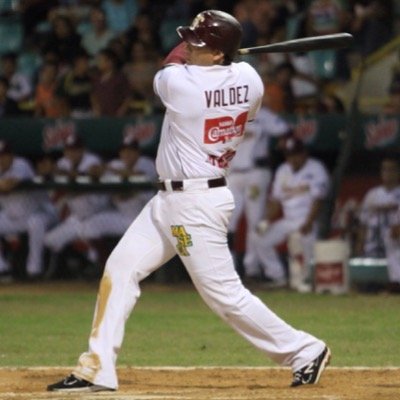 Former MLB Professional Baseball Player (@Chicago White Sox @Minnesota Twins @Oakland Athletics @ San Diego Padres)