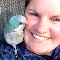 Alex (@alexwilliamson) 's Twitter Profile