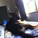 Daniel Payne - @15Payno - Twitter