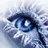 isowfritcheck11's profile image