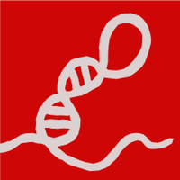 Non-Coding RNA (@non_coding_rna) 's Twitter Profile