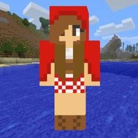WMinecraft (@file_minecraft) 's Twitter Profile