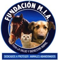 Somos una organización que se dedica a acoger animales abandonados, proporcionarles los cuidados necesarios (esterilización, vacunas, alimentación)
