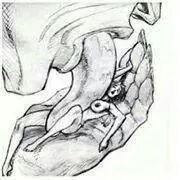 nitrorc75's profile picture. 