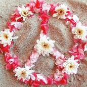 En veille sur le #socialmedia, je m'intéresse aussi au reste ;) ...  Have fun !