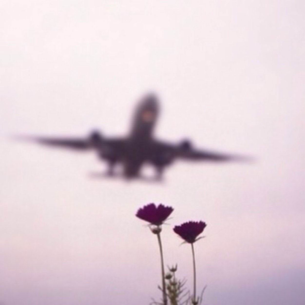 masilm_'s profile picture. دامك دخلت الحساب إقرأ واكسب الاجر سبحان الله وبحمده، سبحان الله العظيم ، أستغفر الله واتوب اليه اللهم صّلِ وسلم على سيدنا محمد ﷺ الرياض