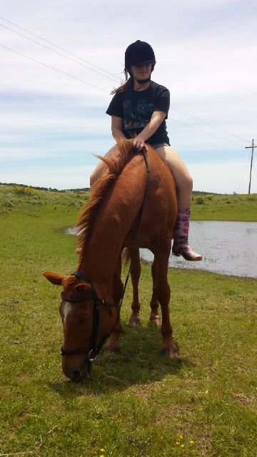 BBM-25C8CD10||Horse rider & Swimmer☺♡..