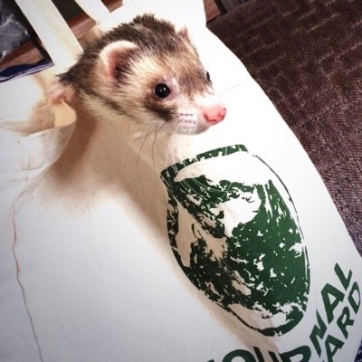 TOMOAKI0613's profile picture. 越谷市出身　越谷市在住　大相模中　草加高校　国際武道大学　キンボール　引越屋　営業職　ダーツ　ゴルフ