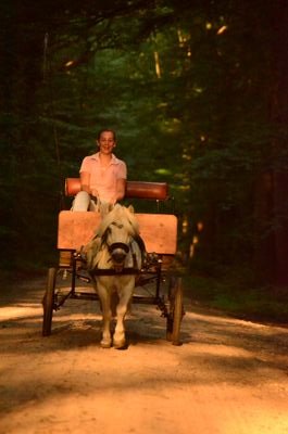 fleurhth's profile picture. 3B # Dr.nassau college Norg # love my horses and my friends # Follow your dreams they know the way # Floris, Coco, Dimmbrá, Dukká en Fjödur.