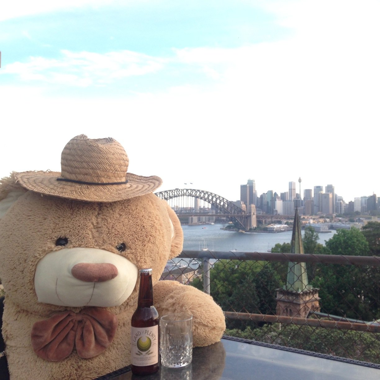 Mr Bear Travels