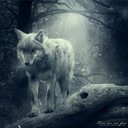 _Mary_Everson_ - @_Mary_Everson_ - Twitter