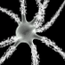 Deep Learning Hub (@deeplearninghub) Twitter profile photo Deep Learning Hub (@deeplearninghub) Twitter profile photo