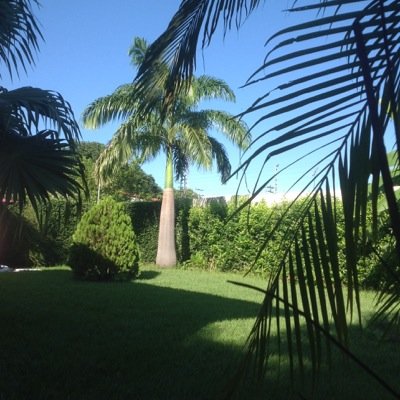 ostunisor's profile picture. 