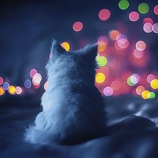 19 映画好き!洋楽好き! ミニクーパー大好き!ヨロシク!趣味垢!サブ垢!
