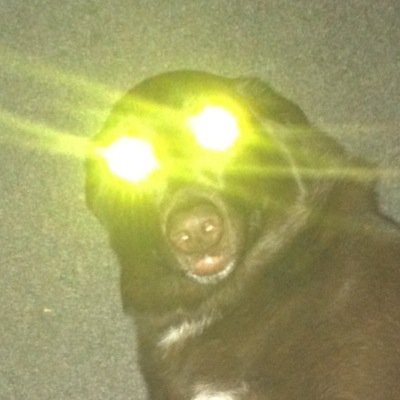 RoR_Remzi's profile picture. Gamer for RoRARMY. Zombies and competative. Co-leader for RiPG. Message for  recruitment. Xbox only. Cod is life. Milk is Love, Milk is Life. ;)