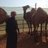 amdamd1144's profile image