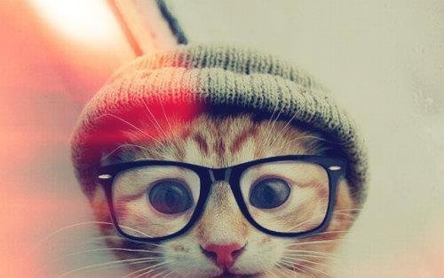 l o v e    i s   t o r t u r e   ♥