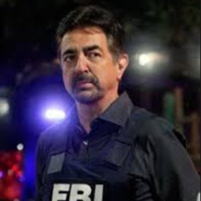 Agent David Rossi, part of the FBI's BAU . Also love to cook and have written many books