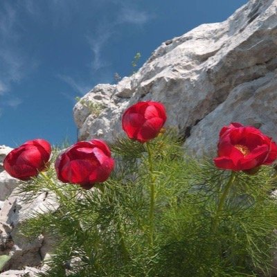 Pencereden baktığınızda güneşi esirgemiyorsa gökyüzü, birileri yaşadığınız günlerin bedelini ödediği içindir...
