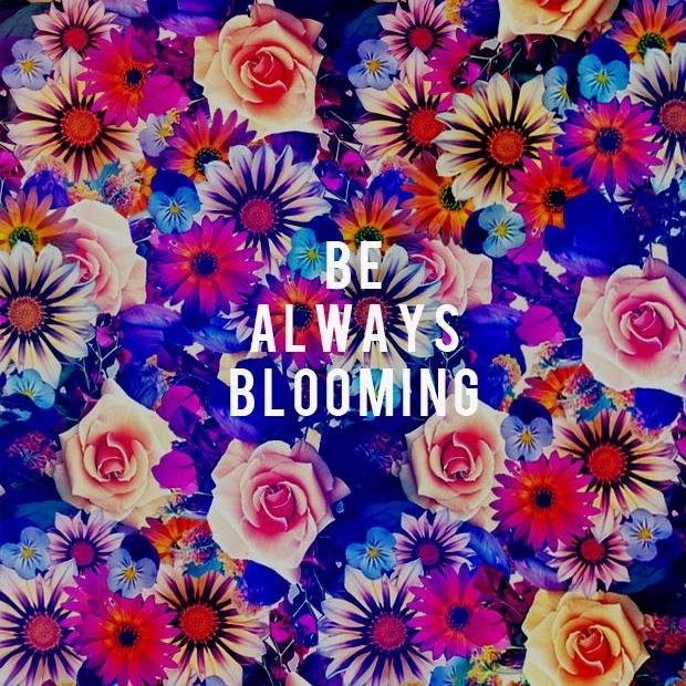 RobynRknrbyn's profile picture. 