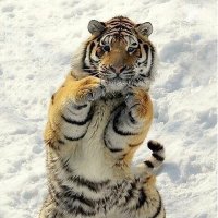 (Hide-Z) (@night05hidetru1) 's Twitter Profile Photo