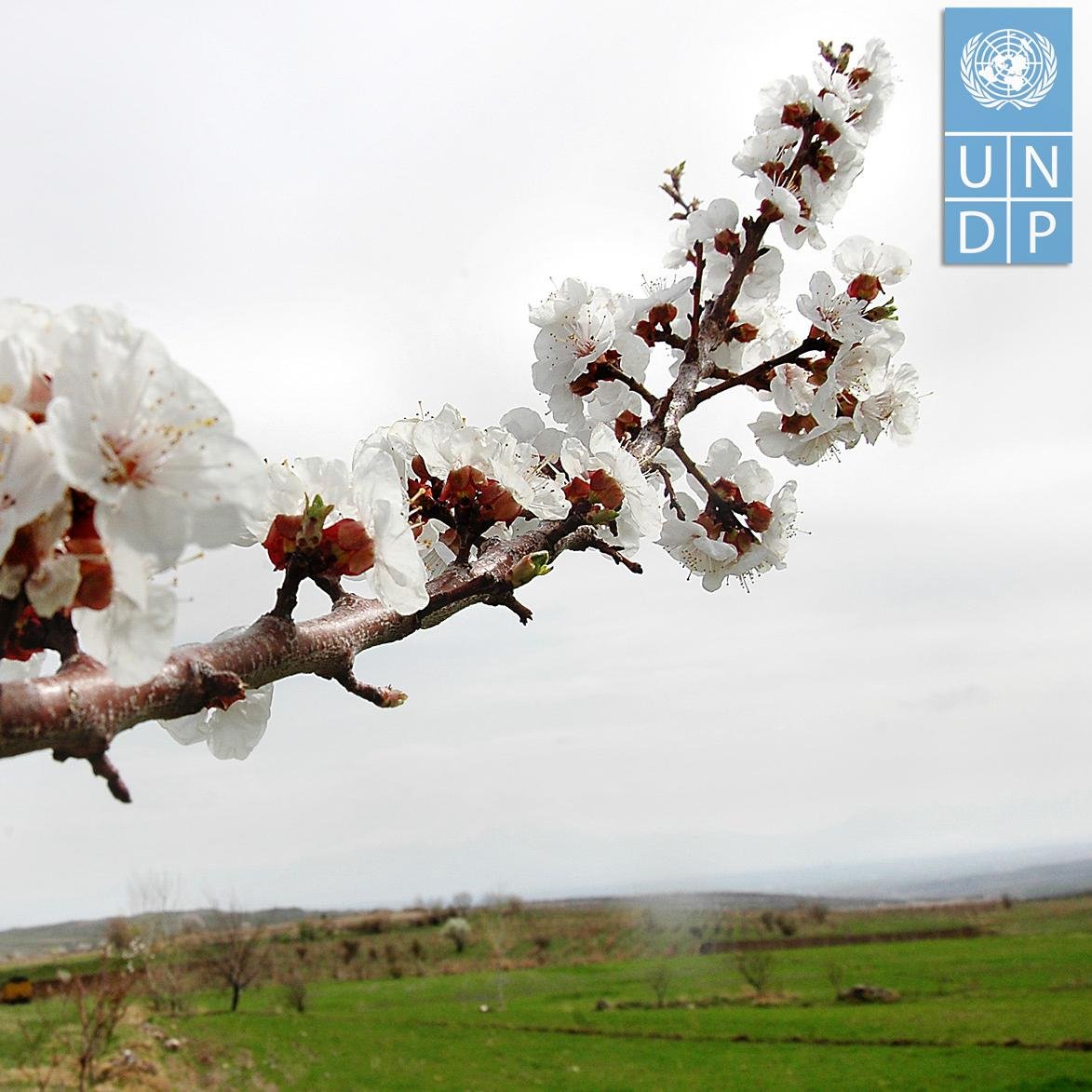 We promote equal opportunities & a dignified life for all by modelling and implementing innovative & sustainable solutions to Armenia's development challenges.